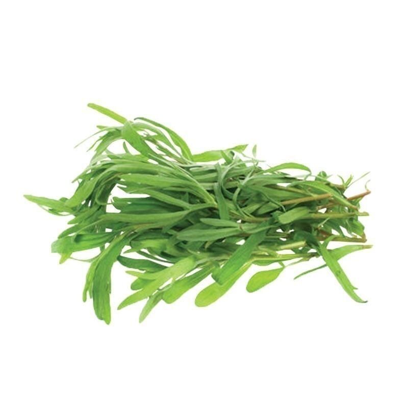 面条菜种子春季秋季野生野菜菜种籽子耐寒四季阳台盆栽面条稞种孑