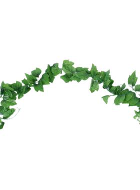 花藤植物爬山虎吊顶管道假树叶