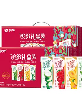 蒙牛礼盒装24盒/提果汁饮料