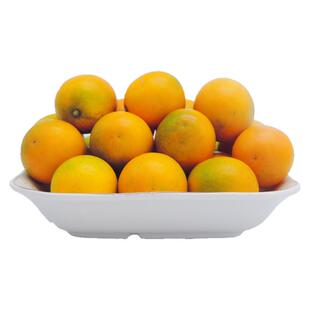 正宗广西融安脆蜜金柑礼盒装第三代融安金桔现摘新鲜纯甜无核桔子