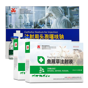 兽用注射用头孢噻呋钠鱼腥草注射液母猪产后消炎针剂牛羊感冒兽药