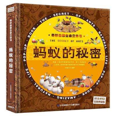 奇妙益智游戏蚂蚁的秘密