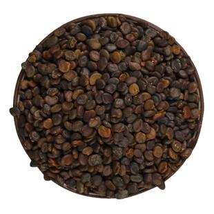 黄芪种子野生特级黄芪种籽中药材黄芪种植苗内蒙古铁杆棉黄芪种孑