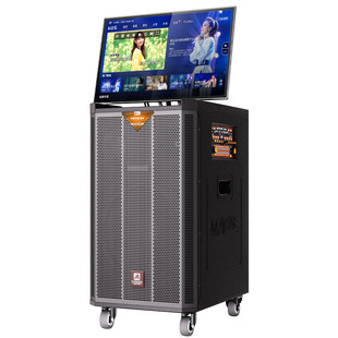 曼龙大功率家庭带显示屏K歌移动点歌KTV一体机大功率户外唱歌音箱