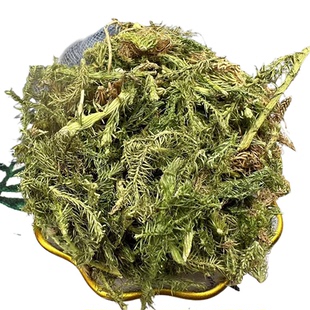 【正宗无添加】伸筋草粉250克 筋骨草 石松狮子中药粉店铺药材大