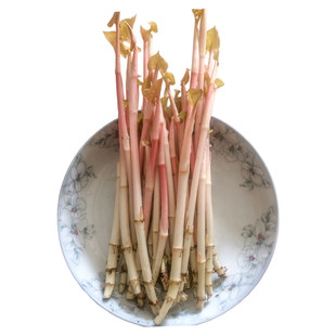 京东速发!新鲜四川折耳根嫩芽鱼腥草嫩根根嫩芽子嫩苗现割现发