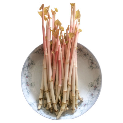 新鲜鱼腥草折耳根嫩叶