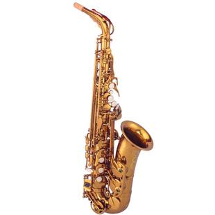 泰山中音萨克斯管乐器风初学者正品考级演奏高品质TSAS-9902降e调