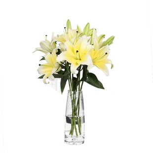 黄色香水百合花云南鲜花基地直发水养花家用插花办公室鲜切花真花