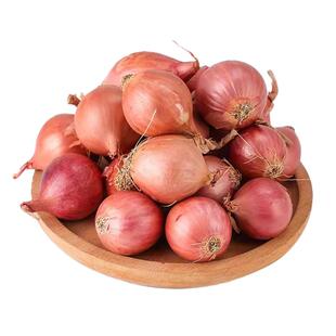 正宗东北毛葱头新鲜种籽栽子5斤鬼干小洋葱头红葱生吃熬葱油酥10