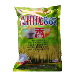 长粒浓香型水稻种子良相优868长粒型香米口感软糯米质好