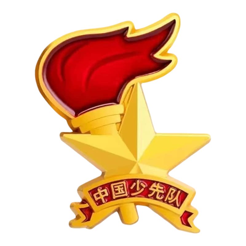 少先队徽章标准型立体新款学校用