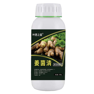 叶丰绿能生姜底肥宝姜块膨大生姜专用肥生根壮苗中量元素水溶肥料