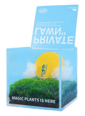 苔藓微景观办公室桌面创意绿植