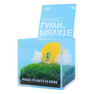 神奇植物私人草坪苔藓微景观办公室桌面室内绿植盆栽生日新年礼物
