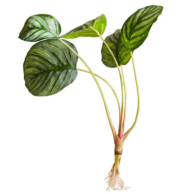 掬涵大羽植物仿真花装饰清新蕨叶