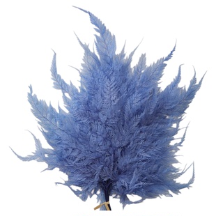 大地农园50330保鲜花配叶手工diy材料包进口永生花羊齿叶蕨叶