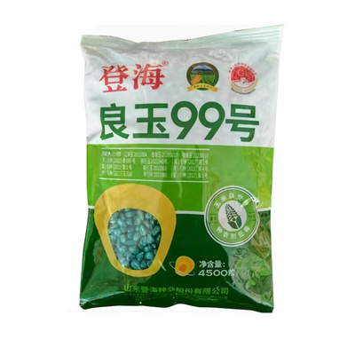 登海良玉99高产玉米种杂交国审矮杆抗旱郑单958种子饲料苞米种籽