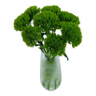 绿毛球圣心百合雀梅鲜花云南基地直发鲜切花束小众草花配草