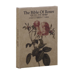 雷杜德玫瑰手绘明信片 ins牛卡纸复古卡片礼物贺卡留言卡24张盒装