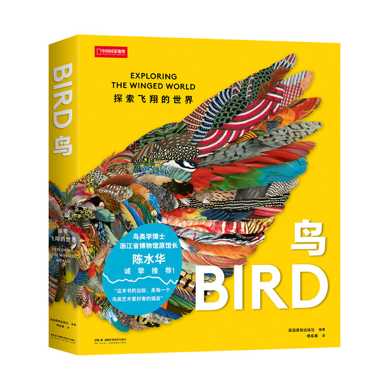 鸟:探索飞翔的世界 艺术鸟类画册费顿艺术灵感
