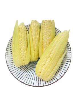吴叔叔崇明本地白糯玉米带壳3斤/5斤/10斤装