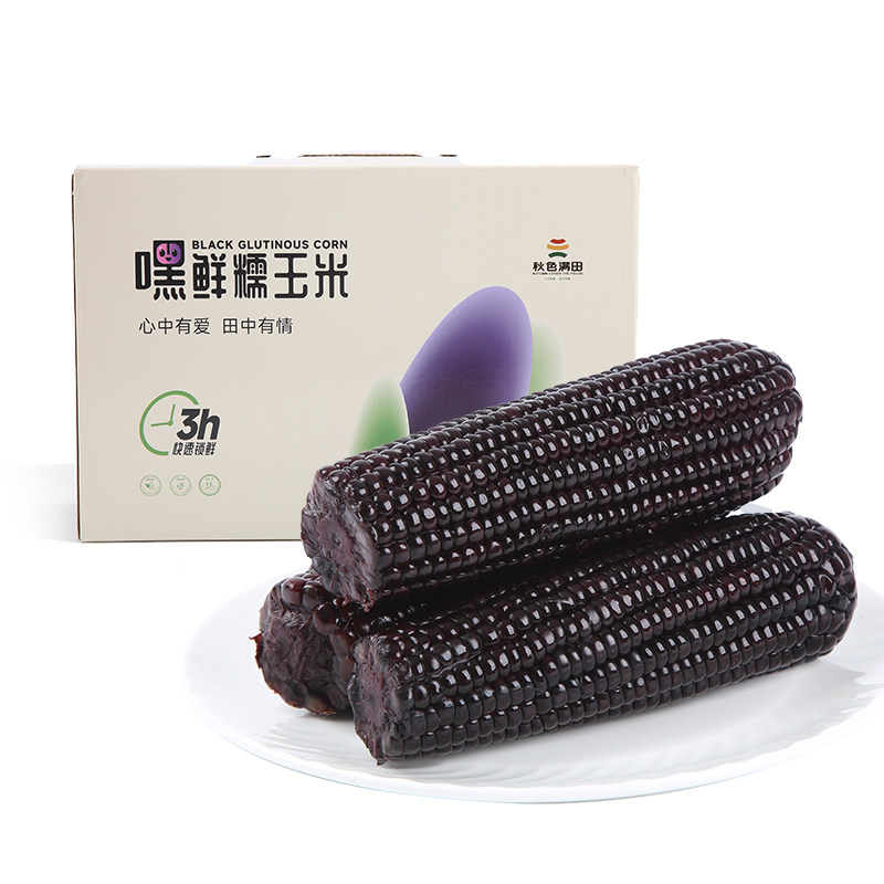 东北黑糯玉米新货大棒富含花青素