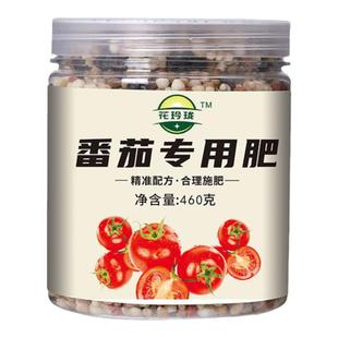 番茄专用肥西红柿专用肥圣女果营养液小番茄肥料盆栽蕃茄种子挂果