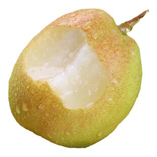 正宗新疆库尔勒香梨全母梨酥脆冰糖梨新鲜孕妇甜水果整箱10斤顺丰