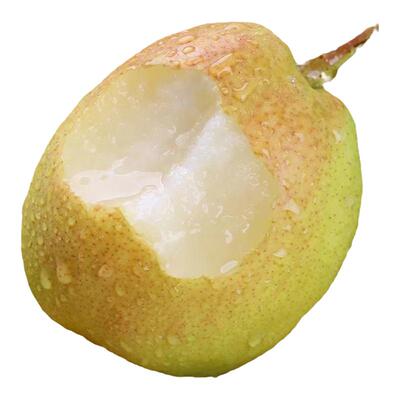 【顺丰包邮】库尔勒香梨新鲜