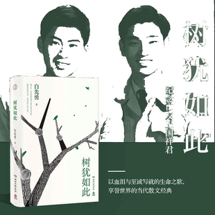 当当网 树犹如此 白先勇著正版书籍 2022新版散文随笔选集 寂寞的十七岁 中国现当代随笔以血泪与至诚写就的生命之歌 正版书籍