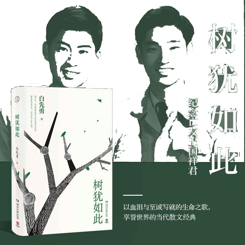 当当网树犹如此2022新版