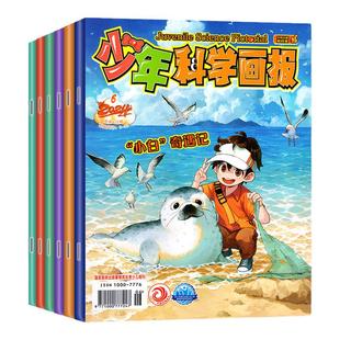 【三年可选】少年科学画报杂志2026/2025/2024年打包/1-12月全年订阅 少年儿童科学技术知识思维创造能力科普百科漫画2023过刊
