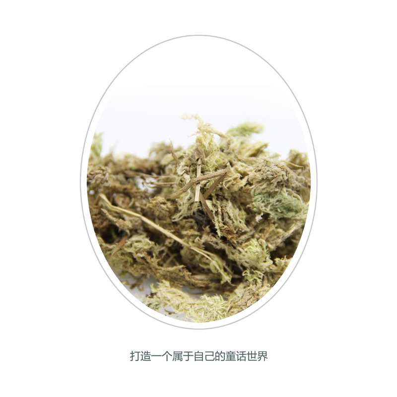 微景观水苔花卉营养介质水无土栽培苔藓干半斤装基质苔国产干