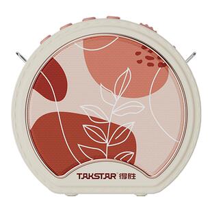 得胜e20无线小蜜蜂扩音器教师上课专用麦克风导游喇叭德胜小圆包