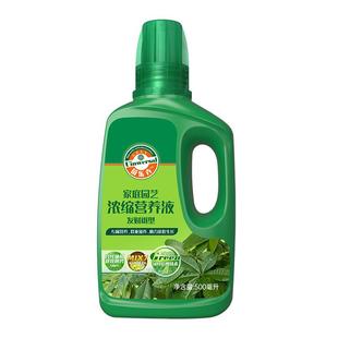 发财树营养液专用肥根深叶茂治壮树势黄掉叶烂根室内盆栽植物花肥