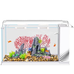 鱼缸客厅小型新款侧滤生态玻璃缸循环过滤制氧一体机金鱼桌面造景