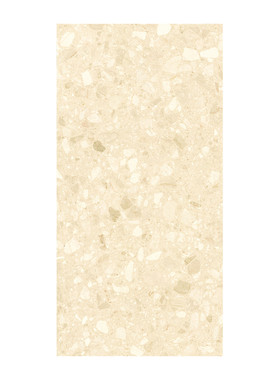 法式现代简约600x1200水磨石瓷砖