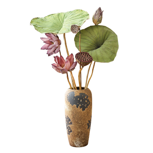 天然莲蓬荷花干花花束客厅摆设永生花高级感风干真花茶室禅意摆件