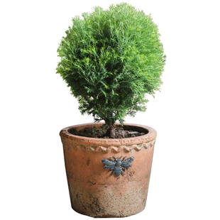 复古红陶花盆多肉小花盆透气陶盆陶土粗陶做旧创意花园阳台家用