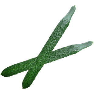 绿肉大黄瓜种子籽春夏秋季耐热绿瓤密刺苗子庭院四季阳台蔬菜种孑