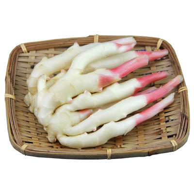 四川嫩姜竹根姜乐山嫩姜新鲜