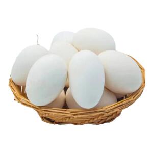 破损包赔农家散养新鲜24枚正宗鹅蛋大个现捡现发孕妇健康营养食品