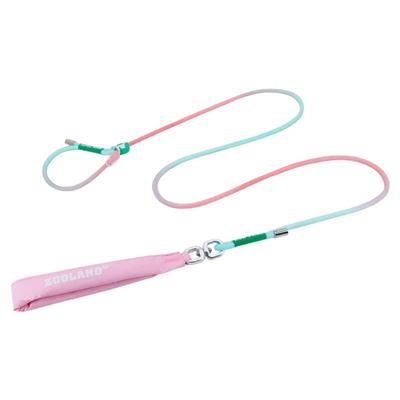 ZOOLAND专业狗狗冲绳小训练赛