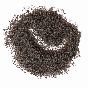 铁砂掌专用光亮铁砂家用练掌沙袋填充绿豆铁沙掌钢珠配重加重钢丸