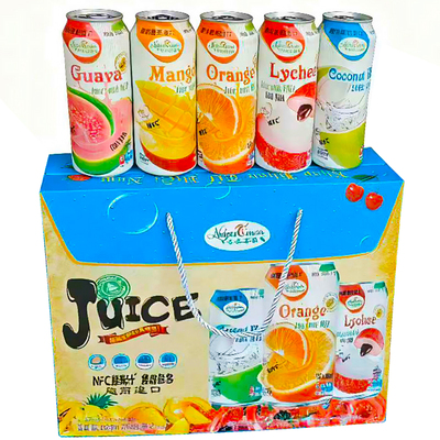 自然茹斯进口椰果大果肉果汁饮料健康0脂礼品箱490ml*8听x3提送礼