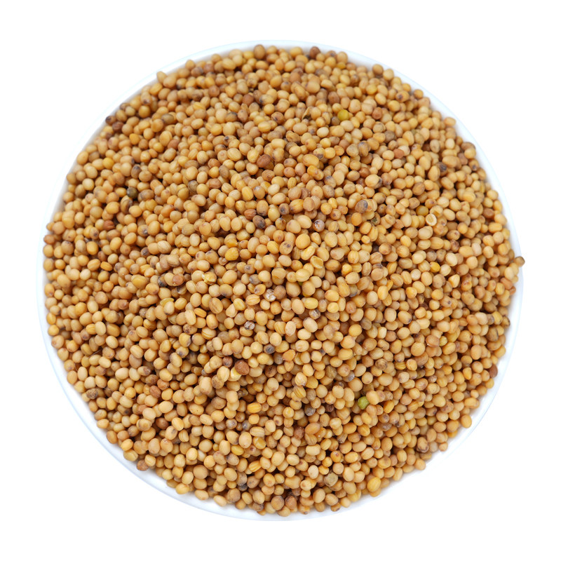 芥末籽黄芥末籽粒黄芥子中药材 芥末子香料 芥菜籽芥茉子粉500g克