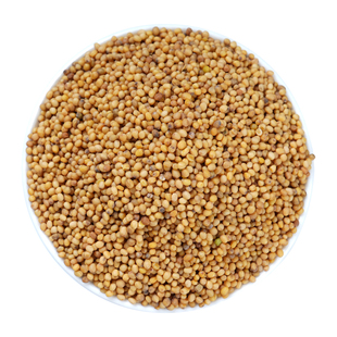 芥末籽黄芥末籽粒黄芥子中药材 芥末子香料 芥菜籽芥茉子粉500g克