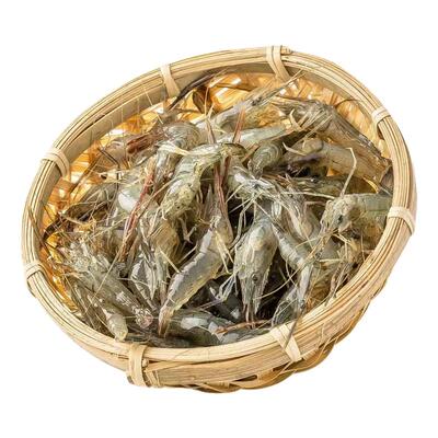 当天现捕速发鲜活速冻小河虾草虾