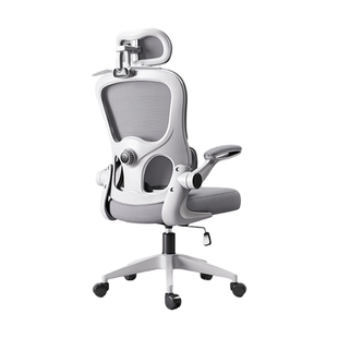 人体工学椅二代撑腰椅电脑椅家用舒适久坐学习椅子靠背椅办公座椅